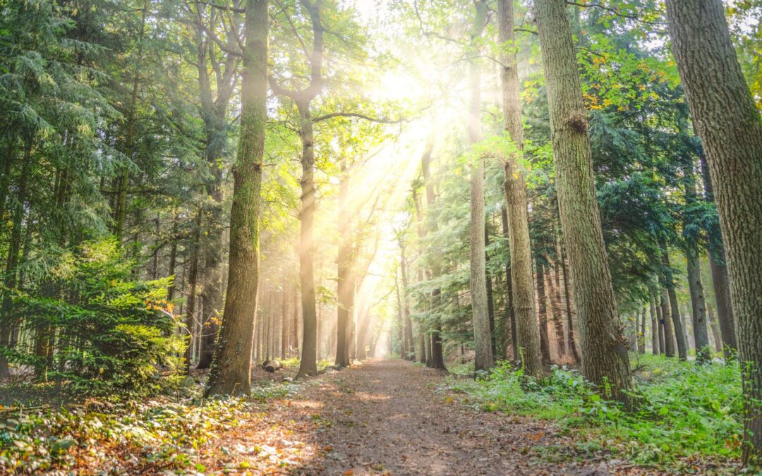 Europese natuurregels houden geen rekening met ruimtegebrek van Nederland